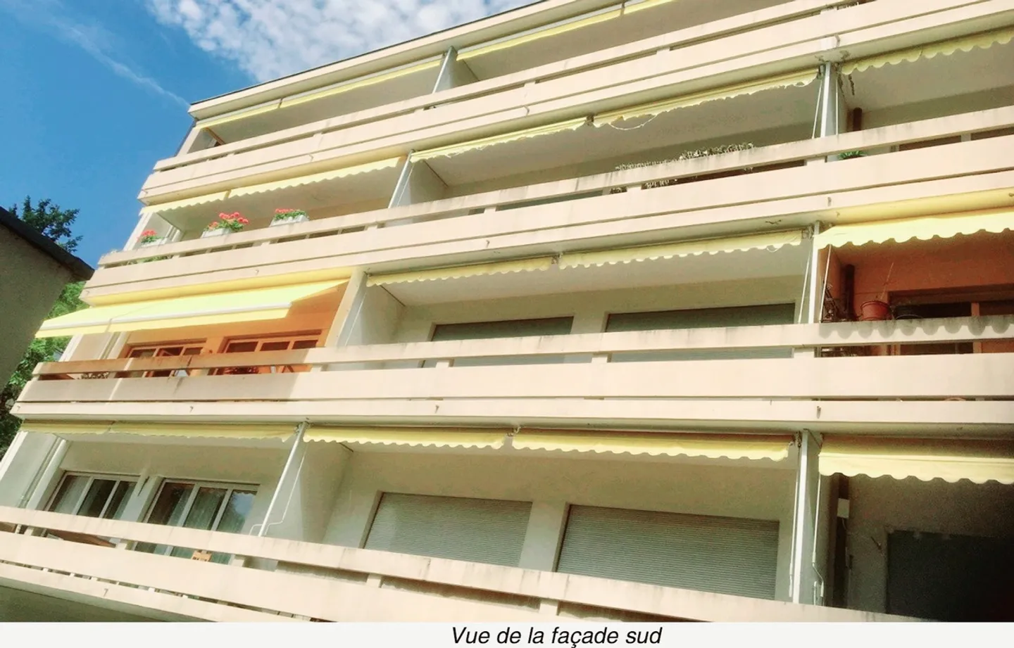 Appartement Charmant à Pully - Photo 6 sur 13