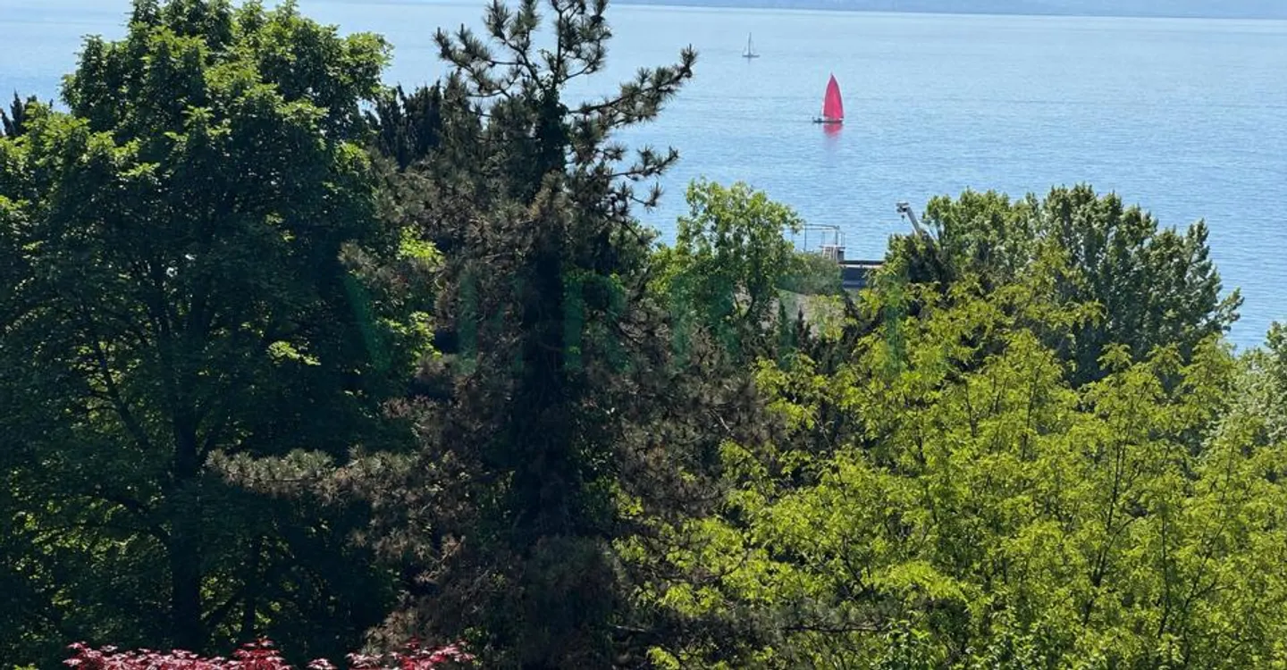 Appartamento di prestigio nel cuore di Ouchy, Losanna - Foto 7 di 12