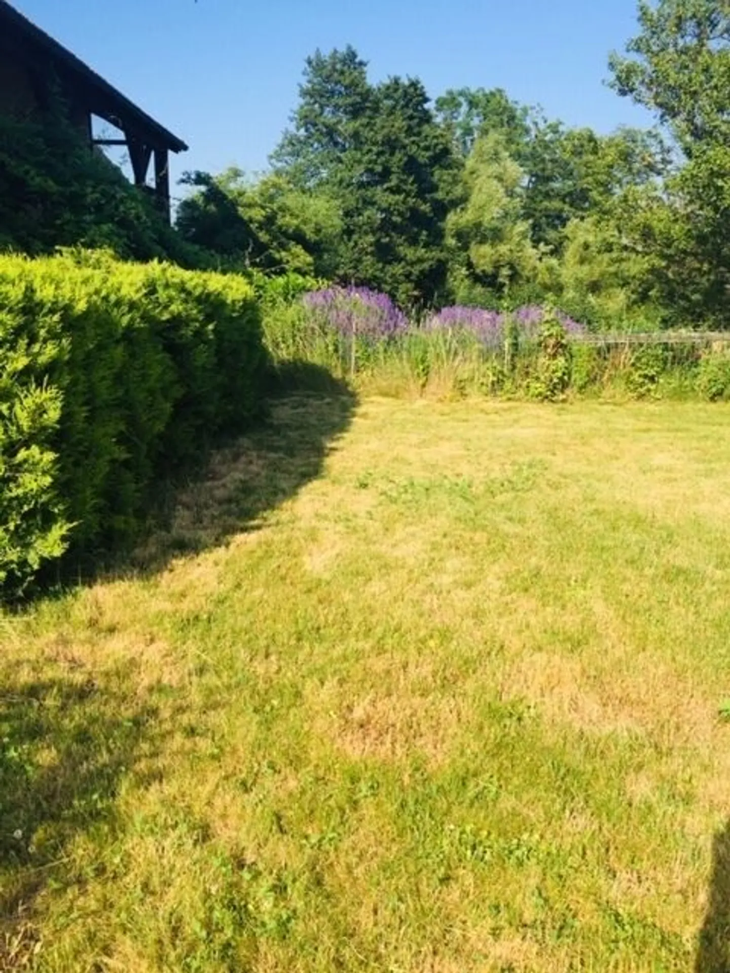 Industry - Photo 12 of 13