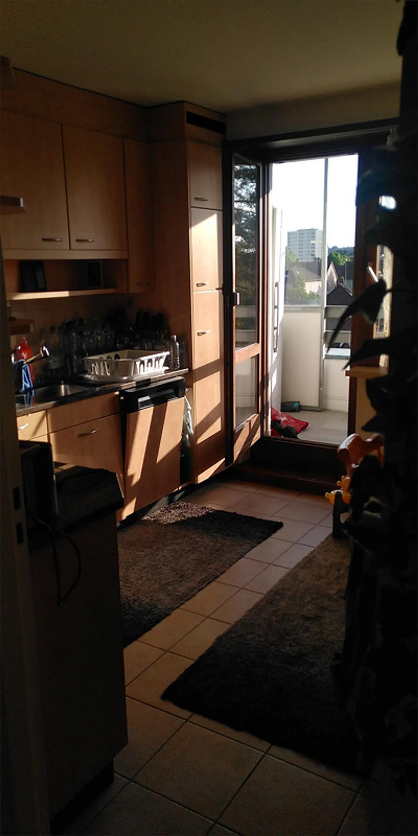 Great penthouse apartment in Birsfelden with huge balcony - Photo 5 of 6