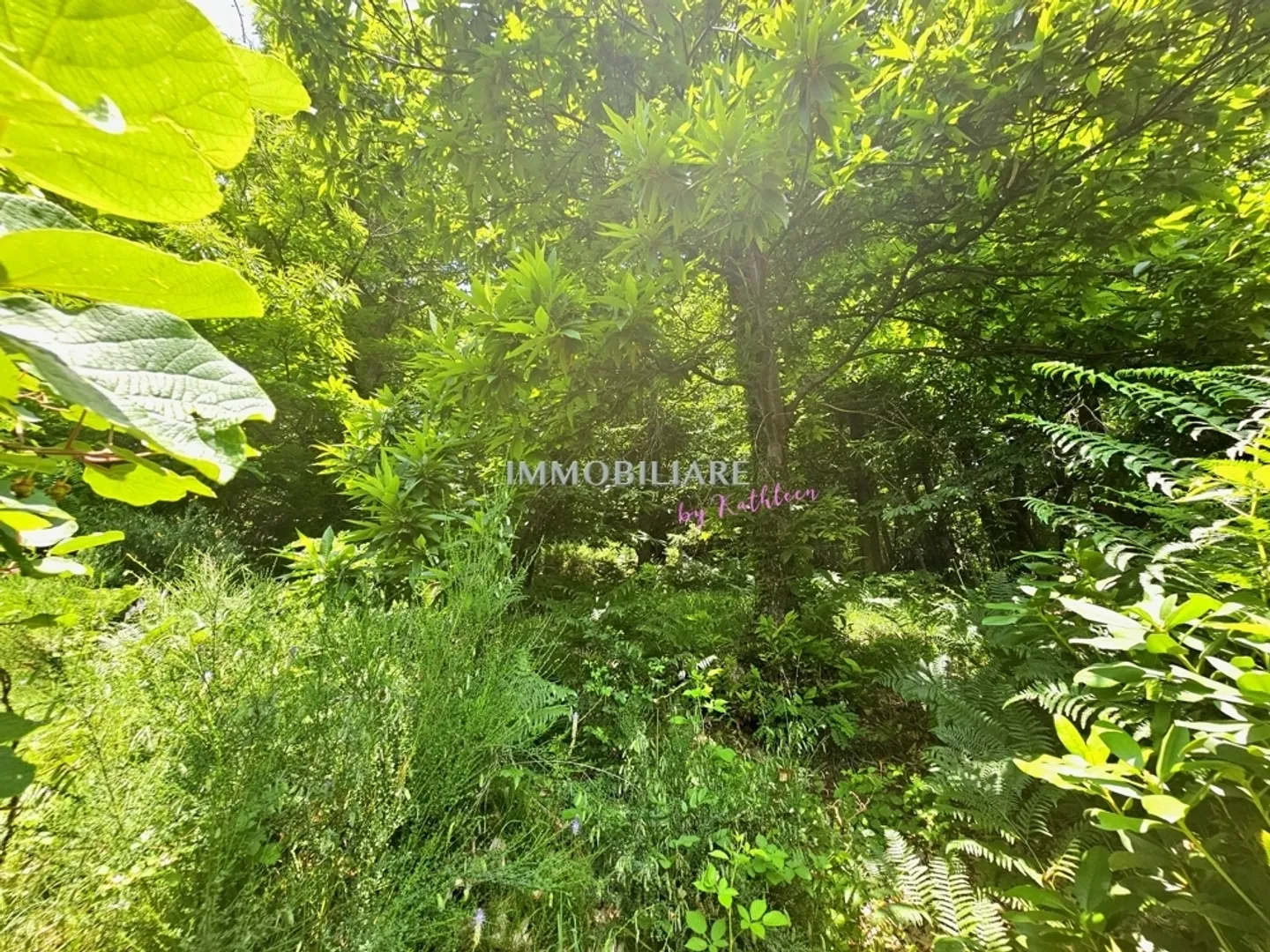 Living in Nature, 2,300 m² Buildable Land with Panoramic View - Photo 8 of 13