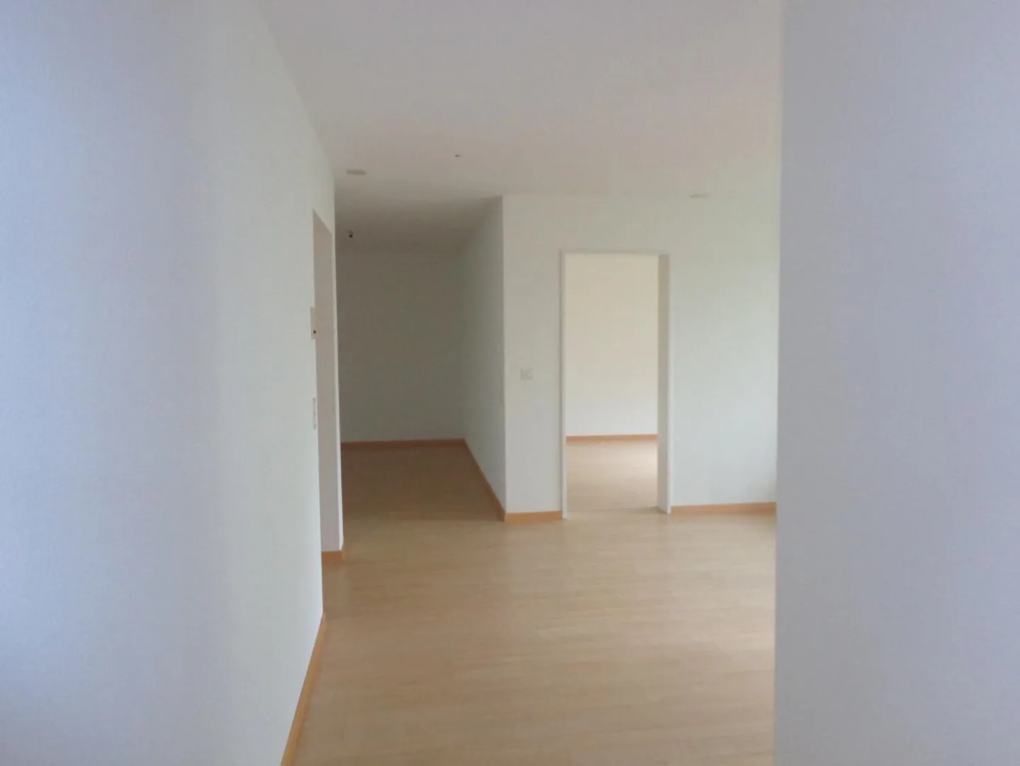 Living at Stauffacher (TEMPORARY until March 31, 2027) - Photo 4 of 13