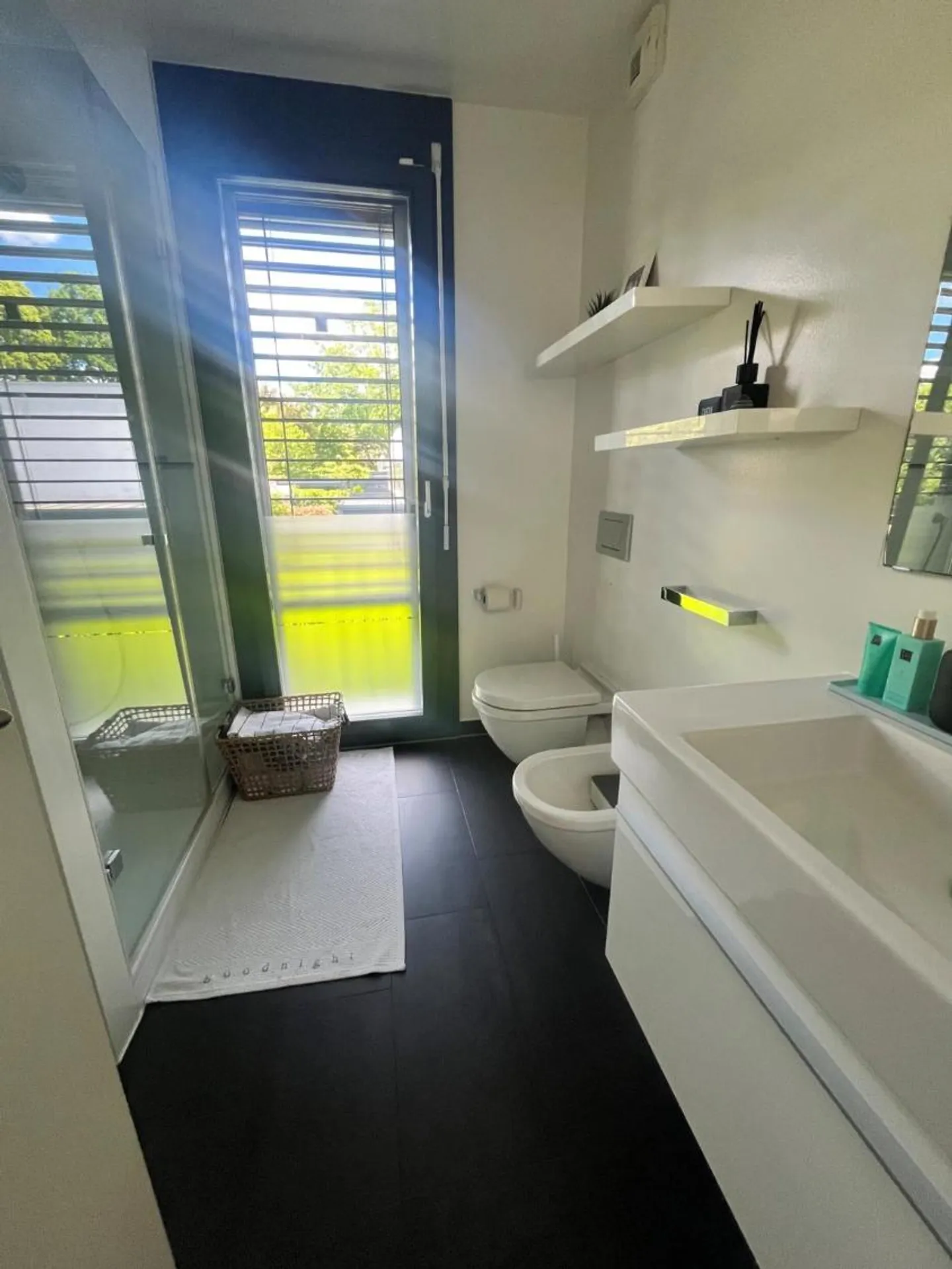 Appartamento moderno a Versoix con terrazza e giardino - Foto 9 di 12