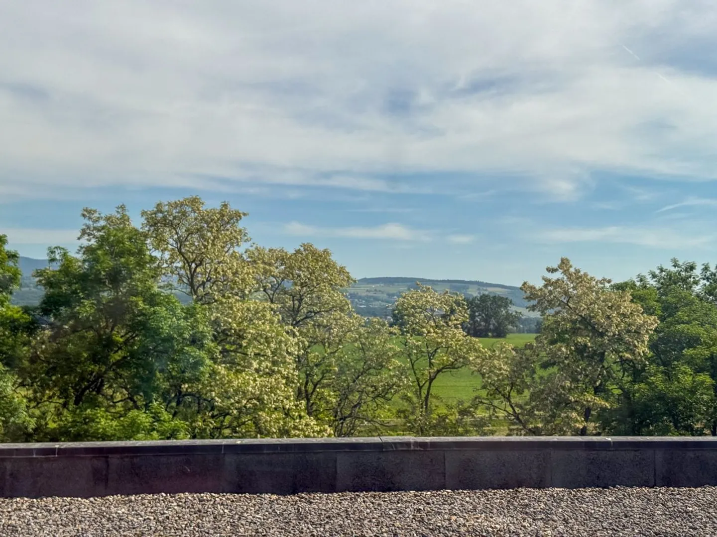 2 Offices in Nyon - Beautiful Terrace - Lake View - Train Station in 2 Minutes - Photo 4 of 12