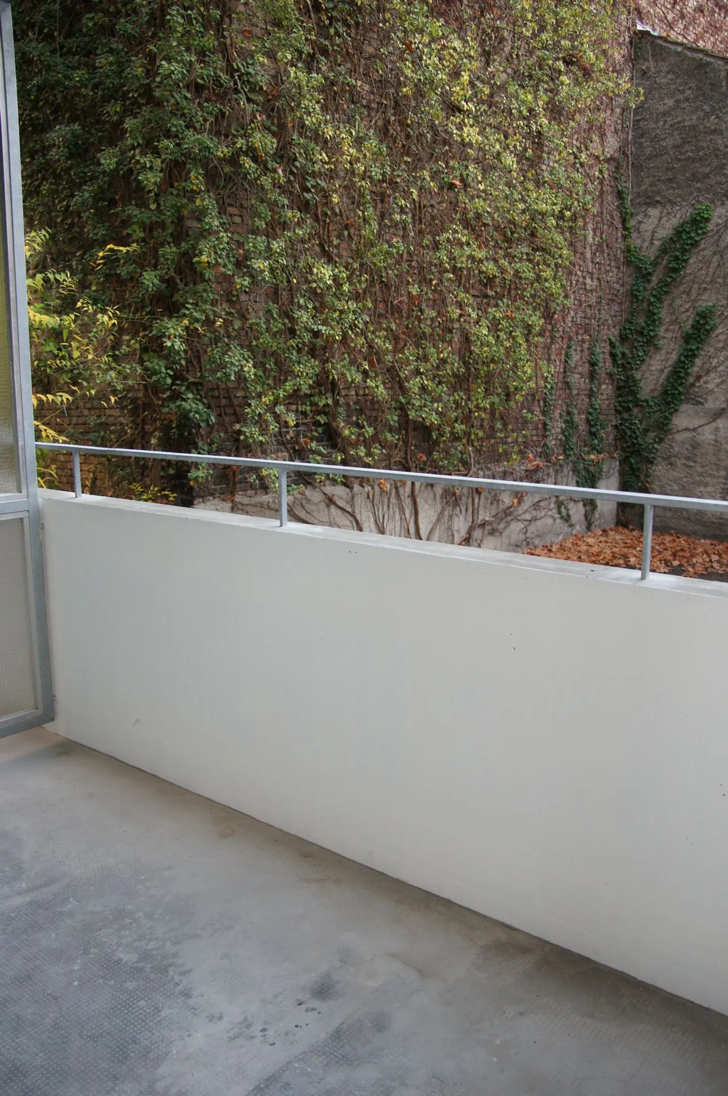 Vivere direttamente sul Reno! - Foto 7 di 7