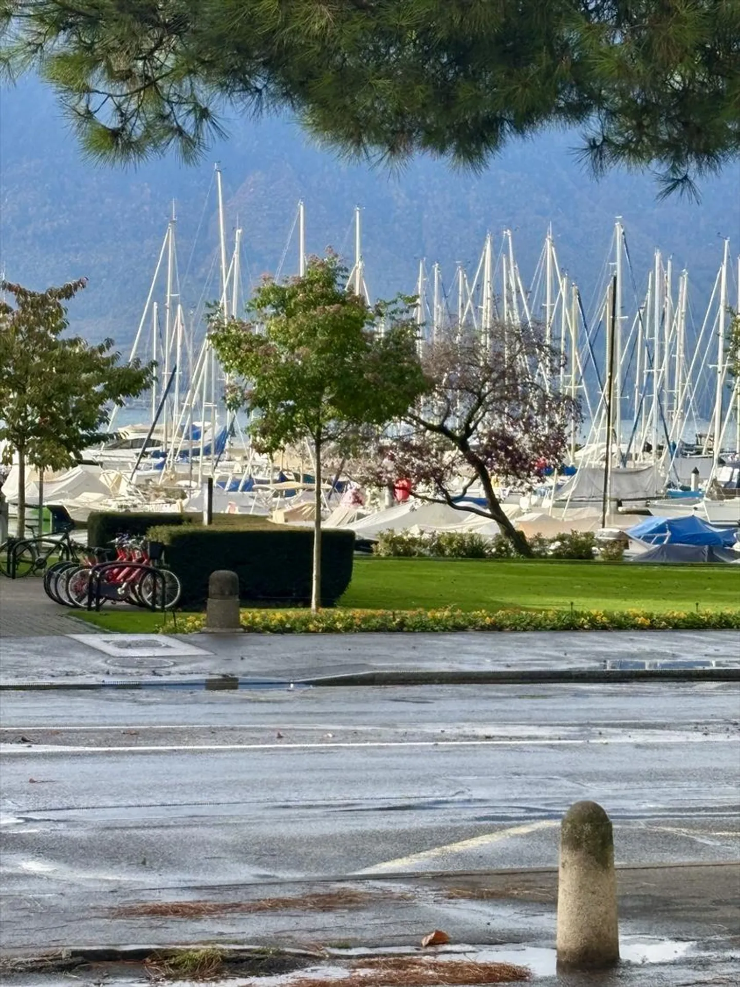 3,5-Zimmer-Wohnung - Foto 1 von 20