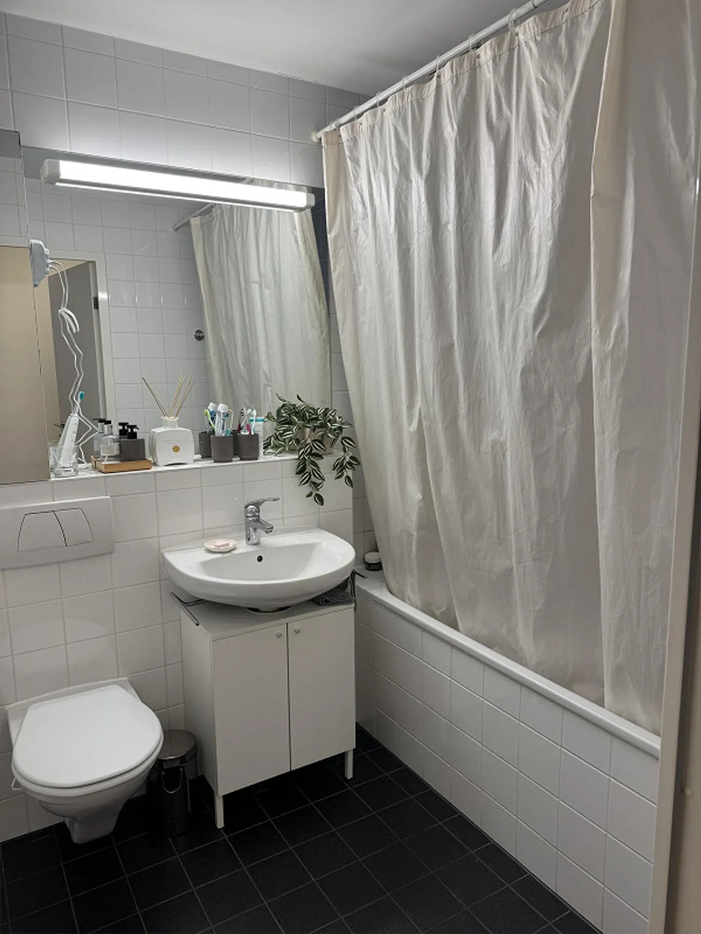 Appartamento luminoso e moderno di 2,5 stanze arredato a Zurigo-Seebach - Foto 5 di 8