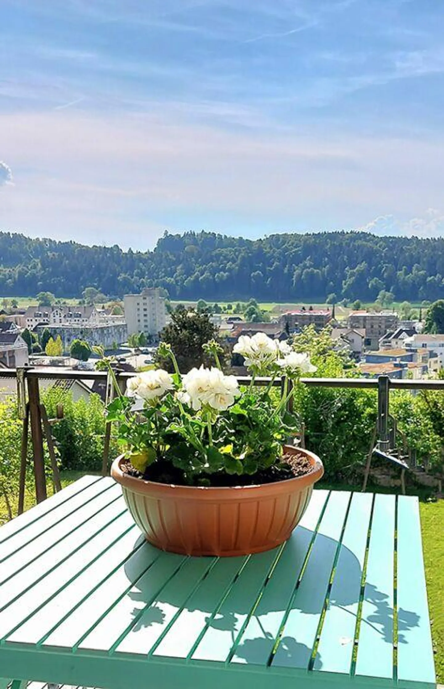 Villa élégante de 7,5 pièces avec jardin de style parc - Photo 25 sur 30