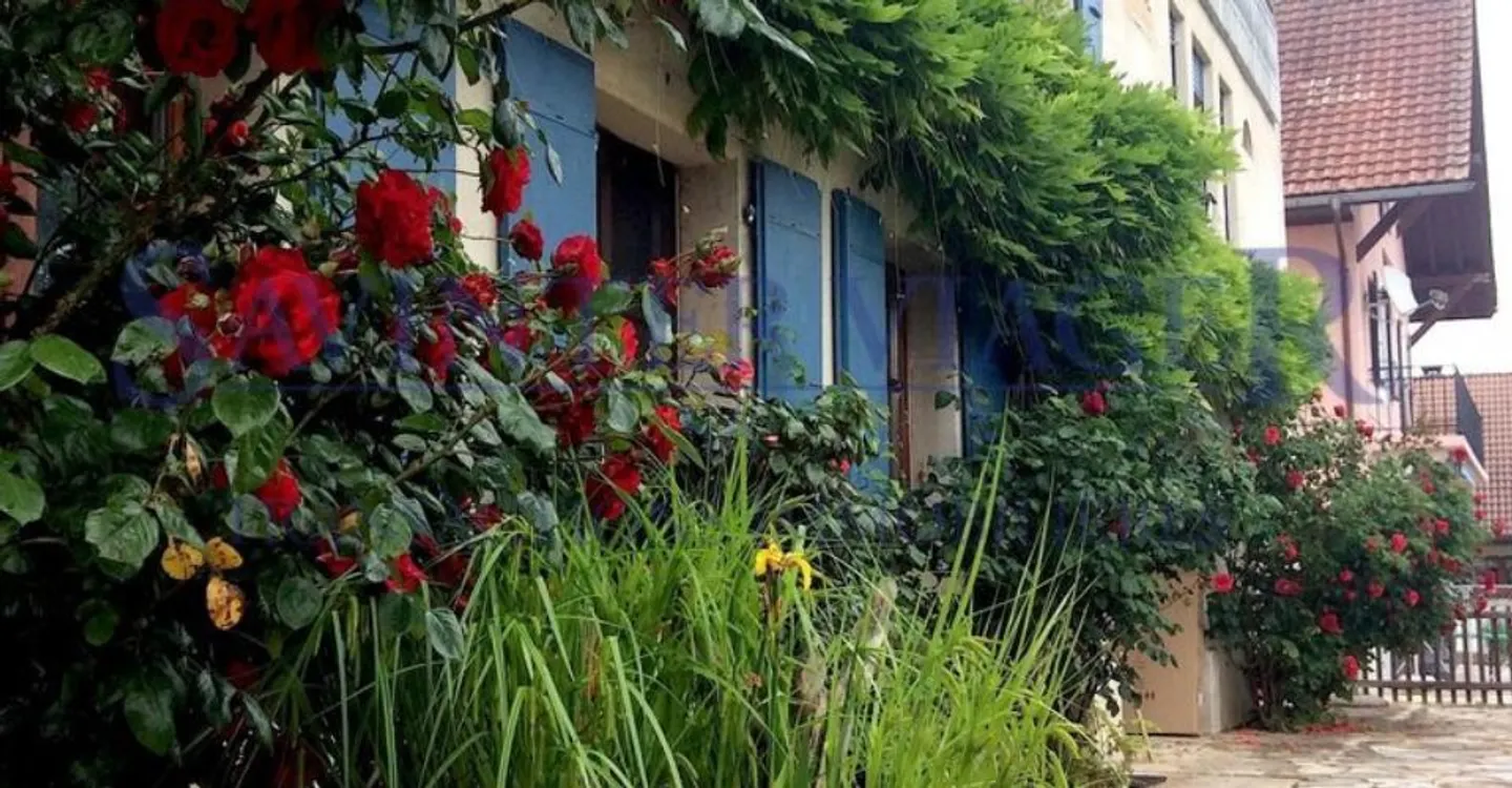 Fontaines-sur-Grandson, Magnificent Village House - Term Sale - Photo 2 of 13