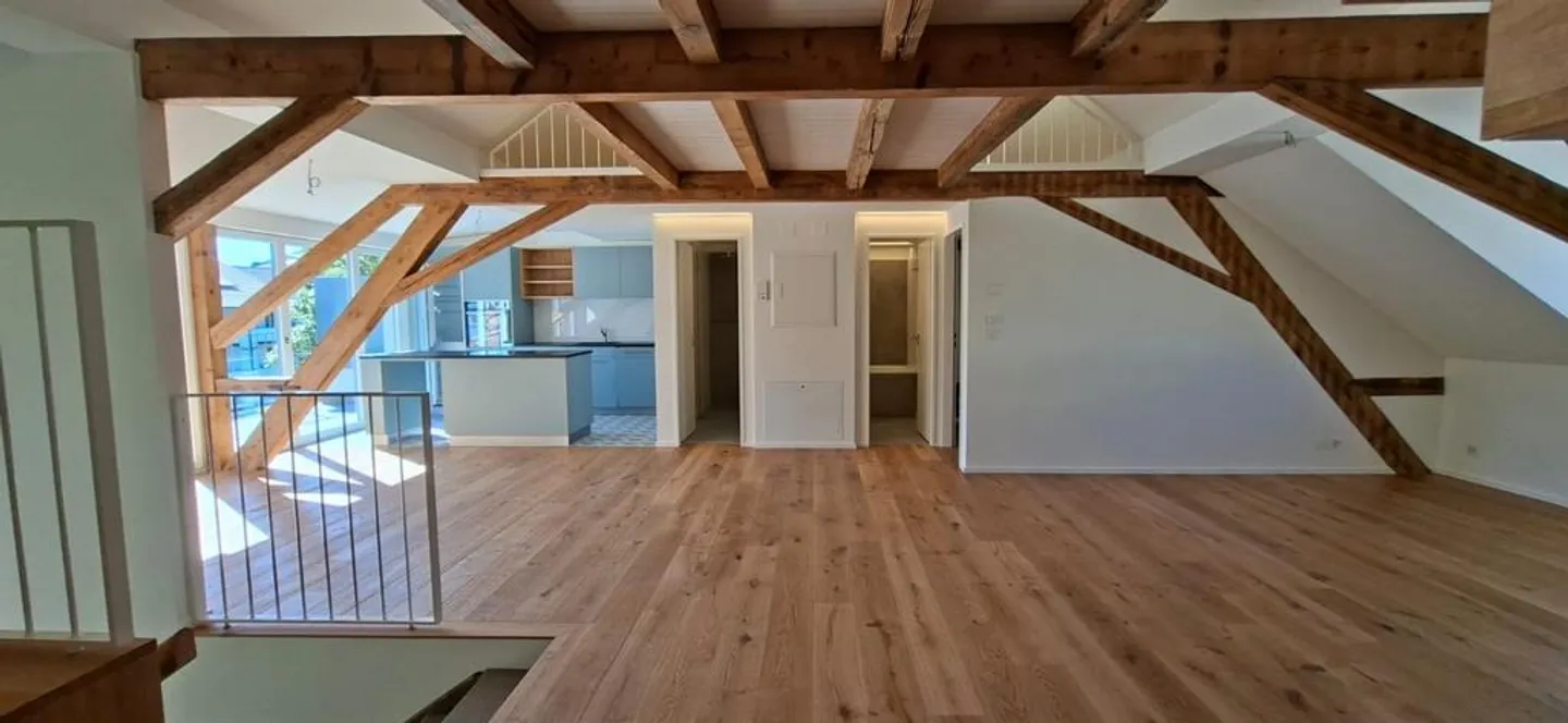 Penthouses esclusivi di 4,5 stanze con galleria e terrazza, vicino al Reno - Foto 3 di 12