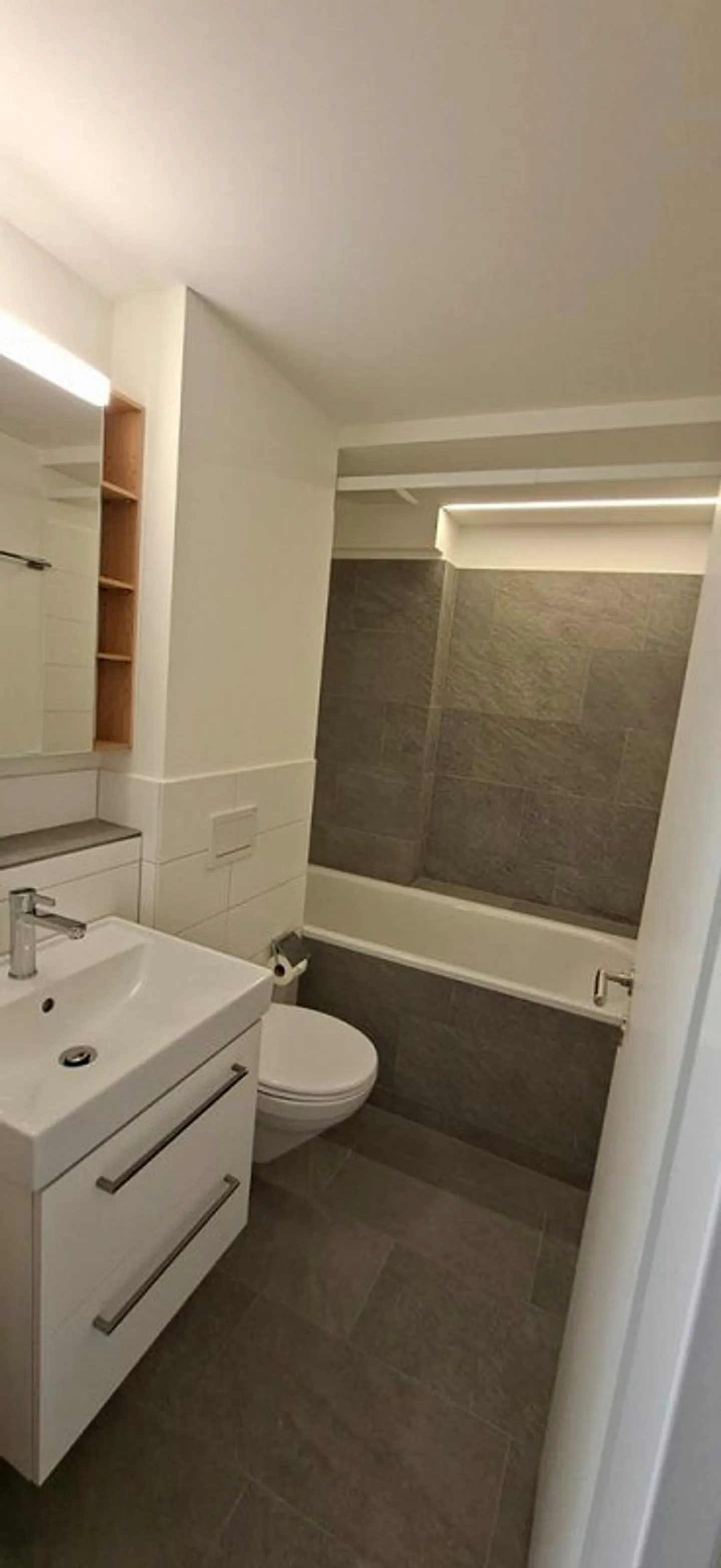 Penthouses esclusivi di 4,5 stanze con galleria e terrazza, vicino al Reno - Foto 9 di 12