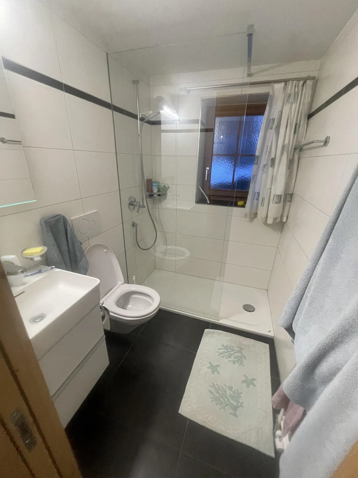 Appartement meublé 2 pièces à Tamins, limité jusqu'en juillet/négociable - Photo 5 sur 6