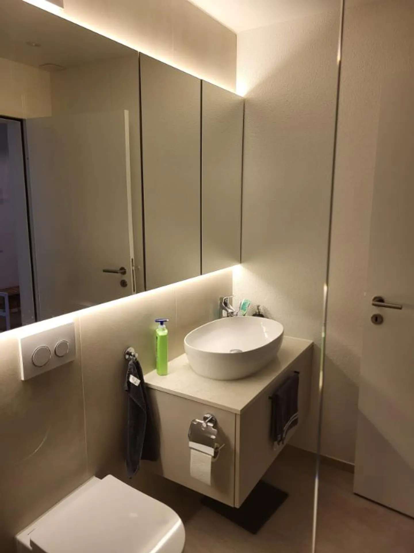 Appartamento 2.5 stanze - Foto 4 di 5