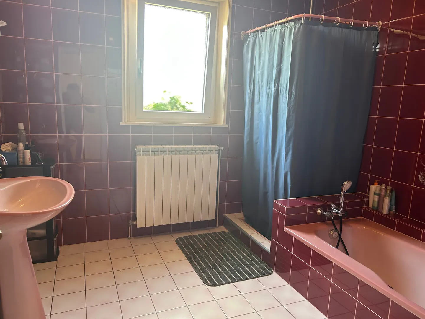 7.5-Zimmer-Landhaus mit 1 ha Grundstück in Monthureux-sur-Saône (FR) nähe Basel und Boncourt - Photo 9 of 13