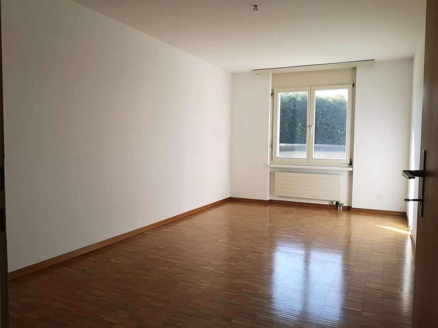 Bright and cozy 2.5 room apartment - Photo 2 of 5