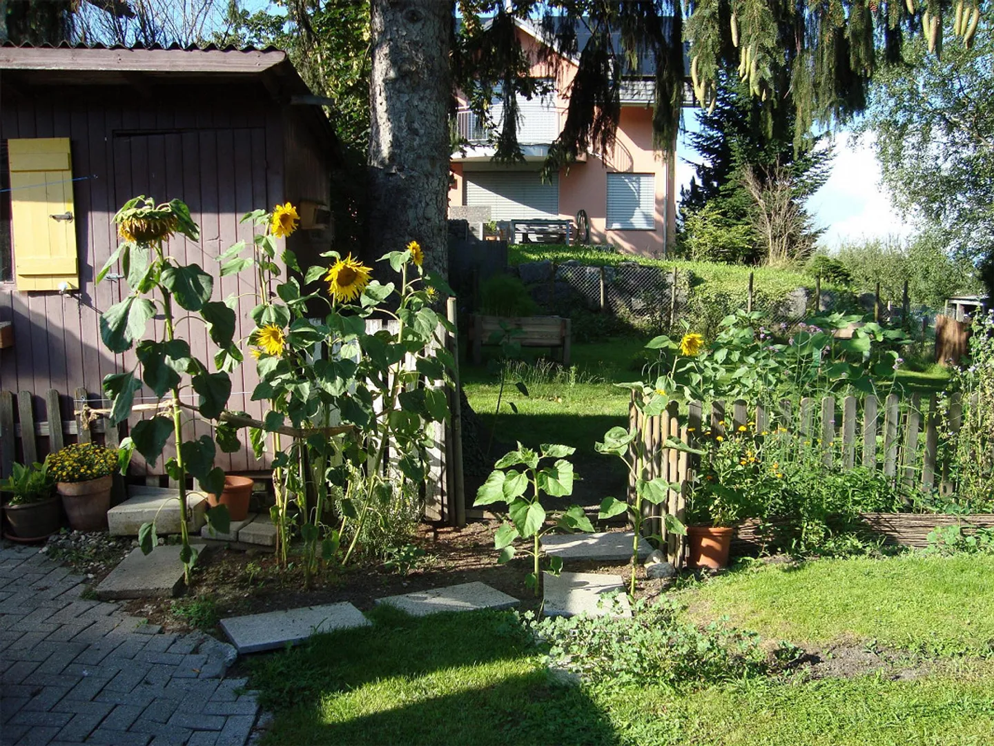 Charmantes Einfamilienhaus - Foto 2 von 12