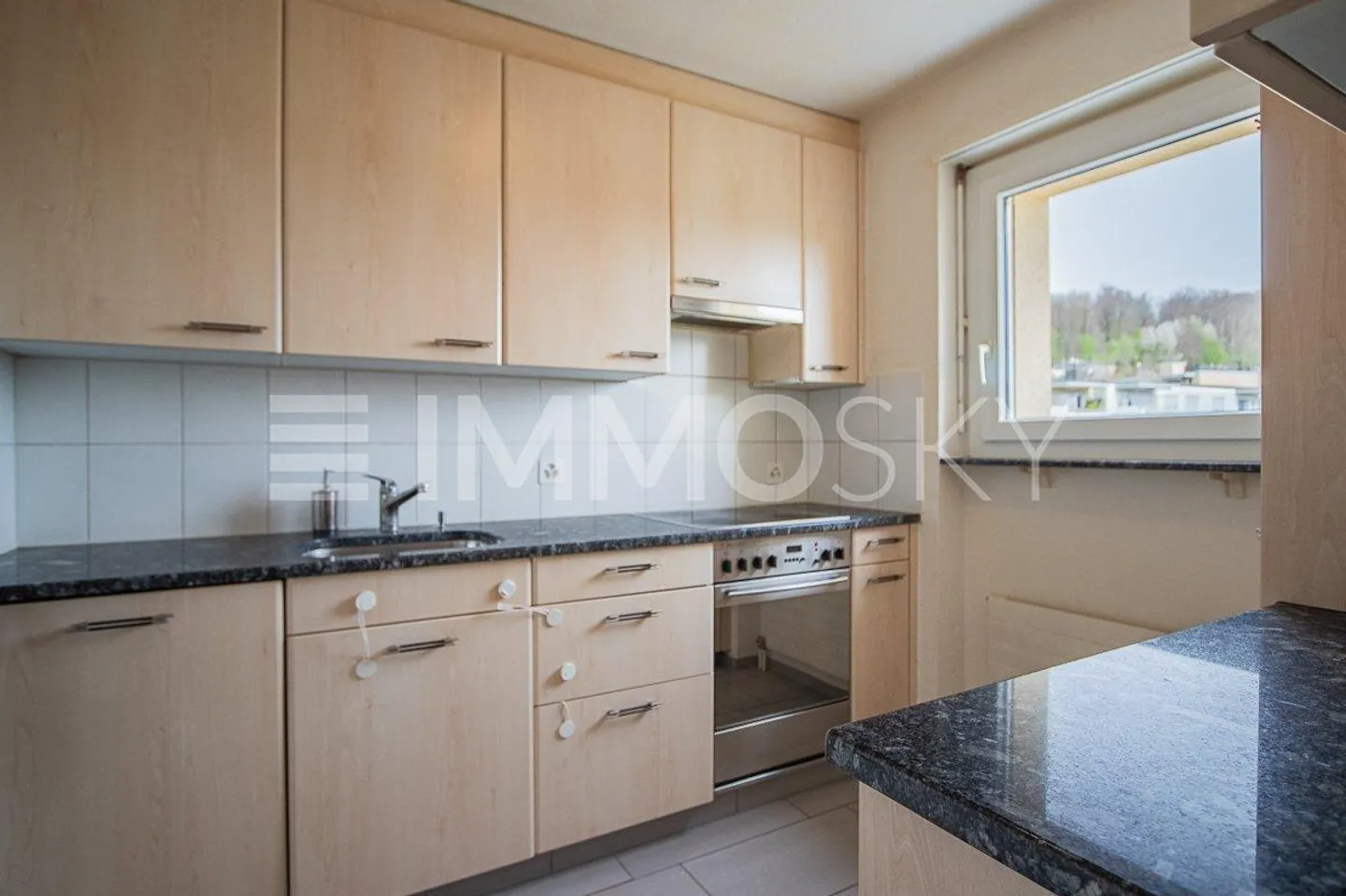 Paradis des navetteurs à la frontière de Zurich - Photo 4 sur 5