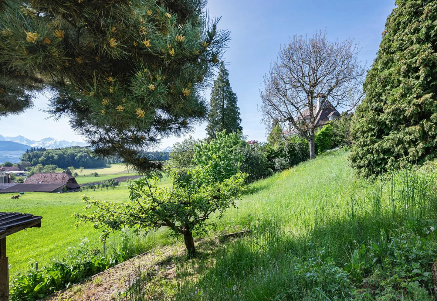 Rieghaus mit grossem Garten an traumhafter Panoramalage - Foto 4 von 13