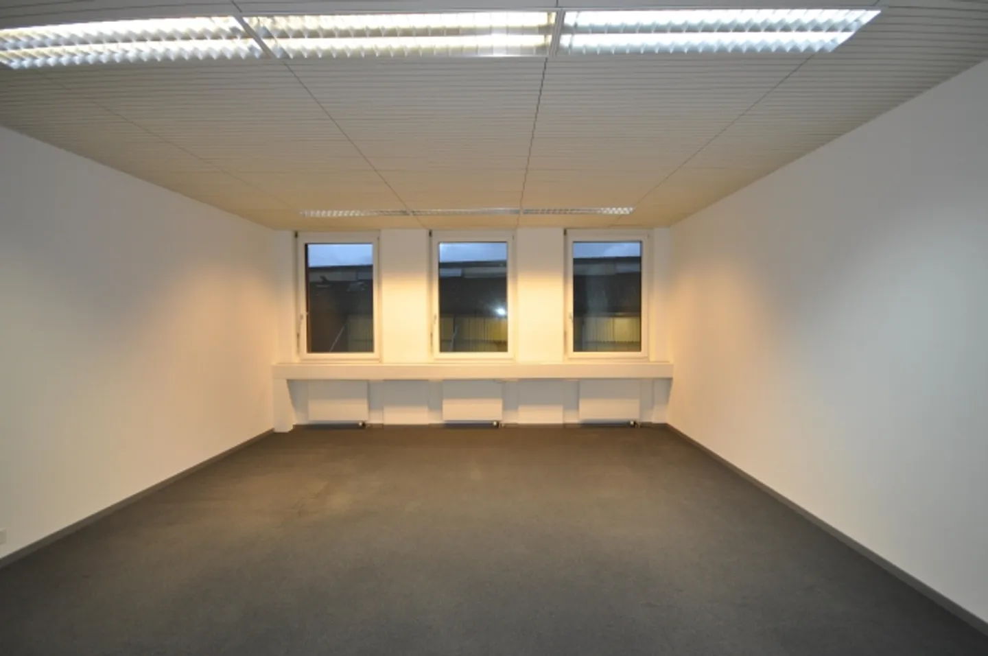Small Office in Reinach - Photo 4 of 5