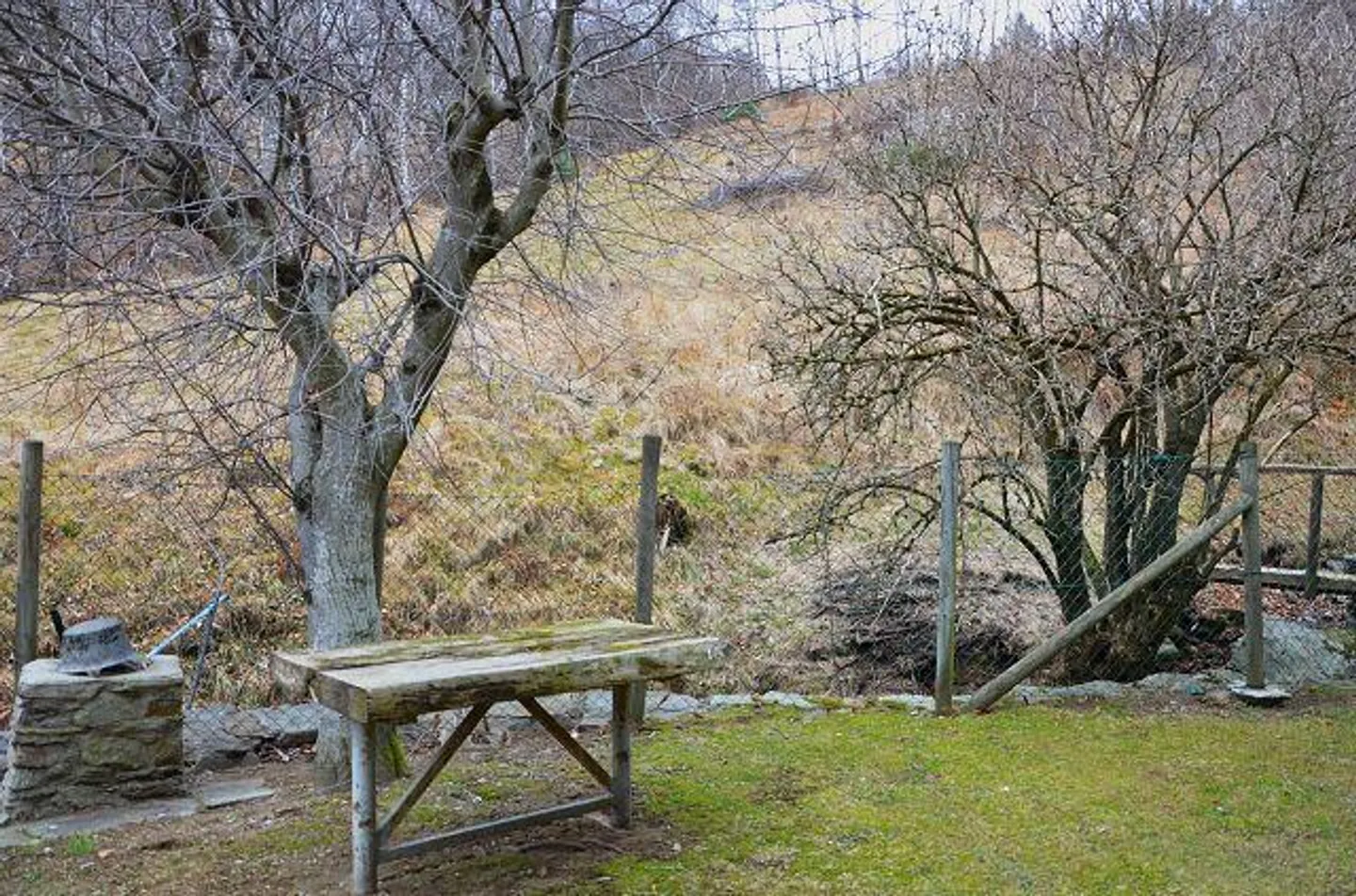 2 Case Vacanze con Terreno nella Natura / 2 rustici con terreno in mezzo... - Foto 17 di 30