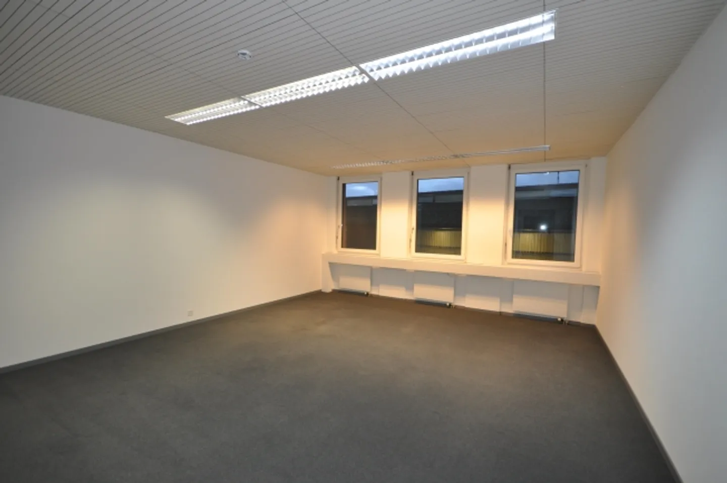 Small Office in Reinach - Photo 5 of 5