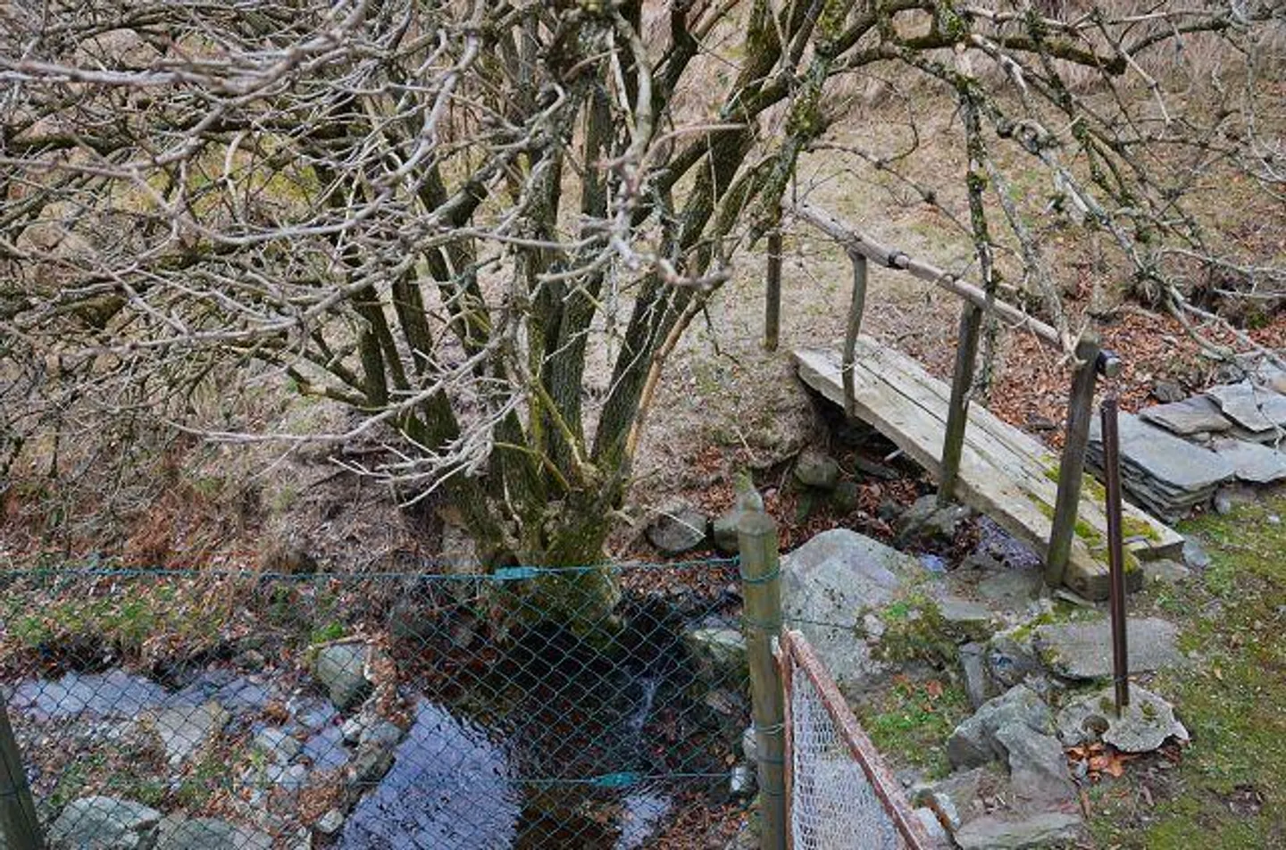 2 Case Vacanze con Terreno nella Natura / 2 rustici con terreno in mezzo... - Foto 22 di 30