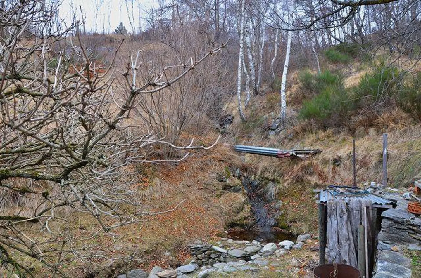 2 Case Vacanze con Terreno nella Natura / 2 rustici con terreno in mezzo... - Foto 29 di 30
