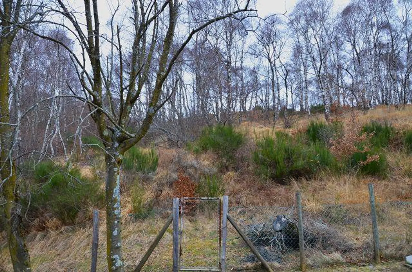 2 Case Vacanze con Terreno nella Natura / 2 rustici con terreno in mezzo... - Foto 30 di 30