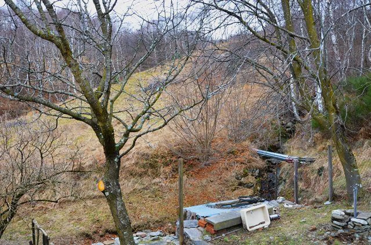 2 Case Vacanze con Terreno nella Natura / 2 rustici con terreno in mezzo... - Foto 28 di 30