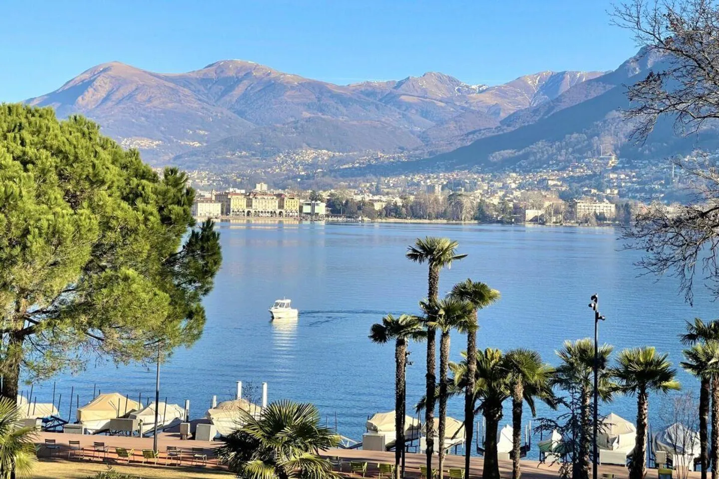 Appartamento in affitto - Foto 1 di 8