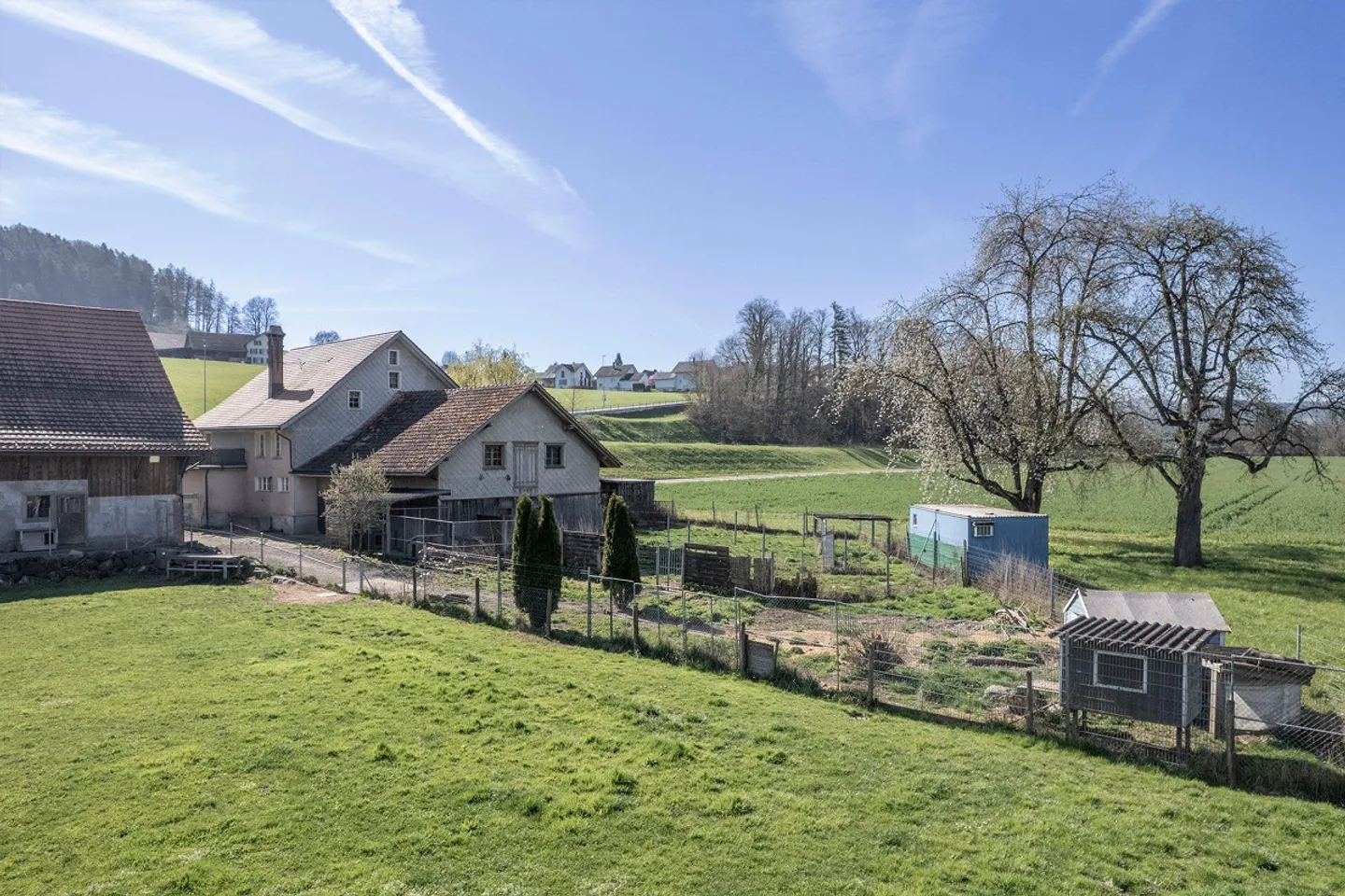 Farmhouse with Potential - Photo 3 of 17