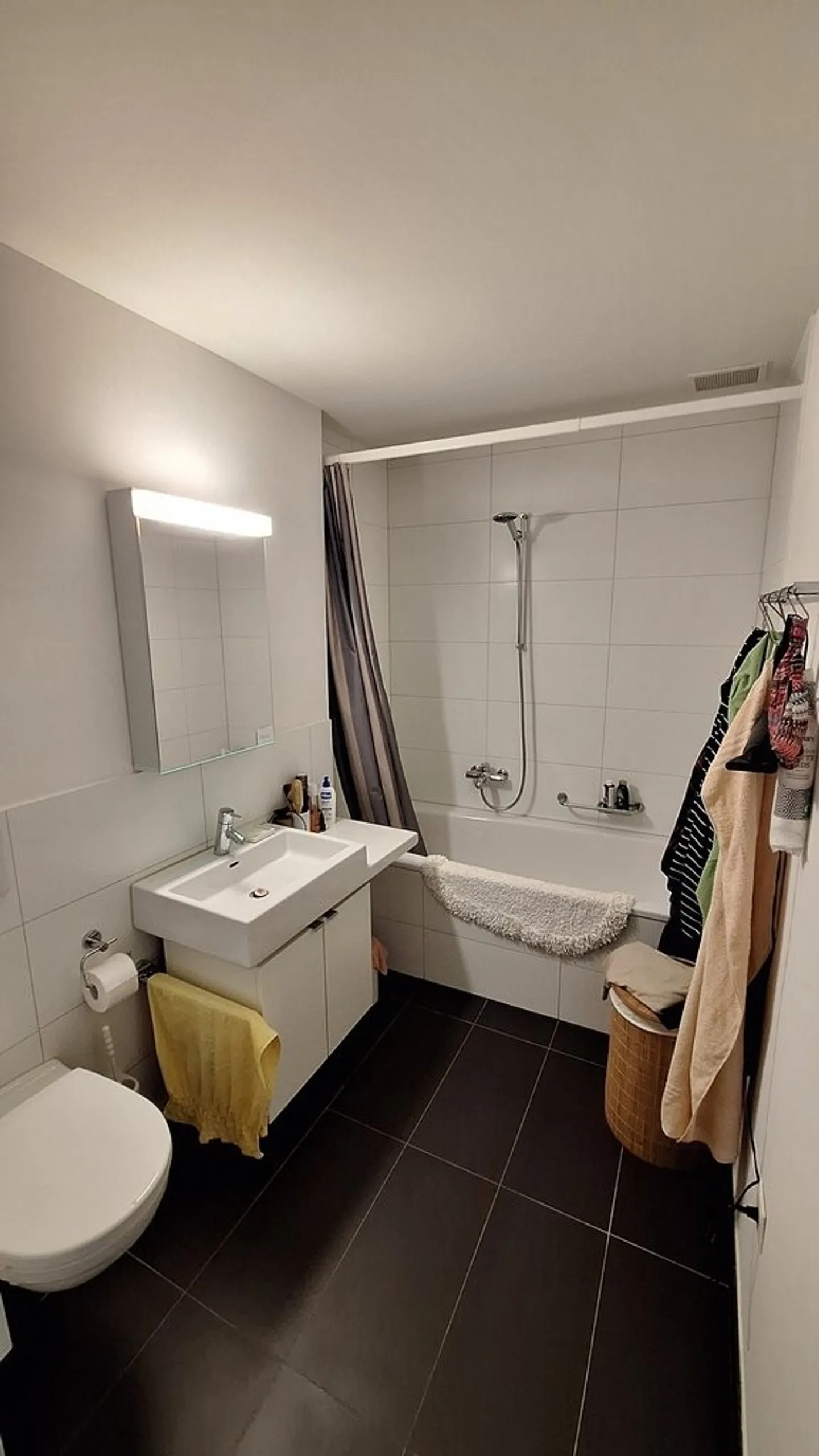 2.5 room apartment for rent in the city oasis recreation area - Photo 3 of 6