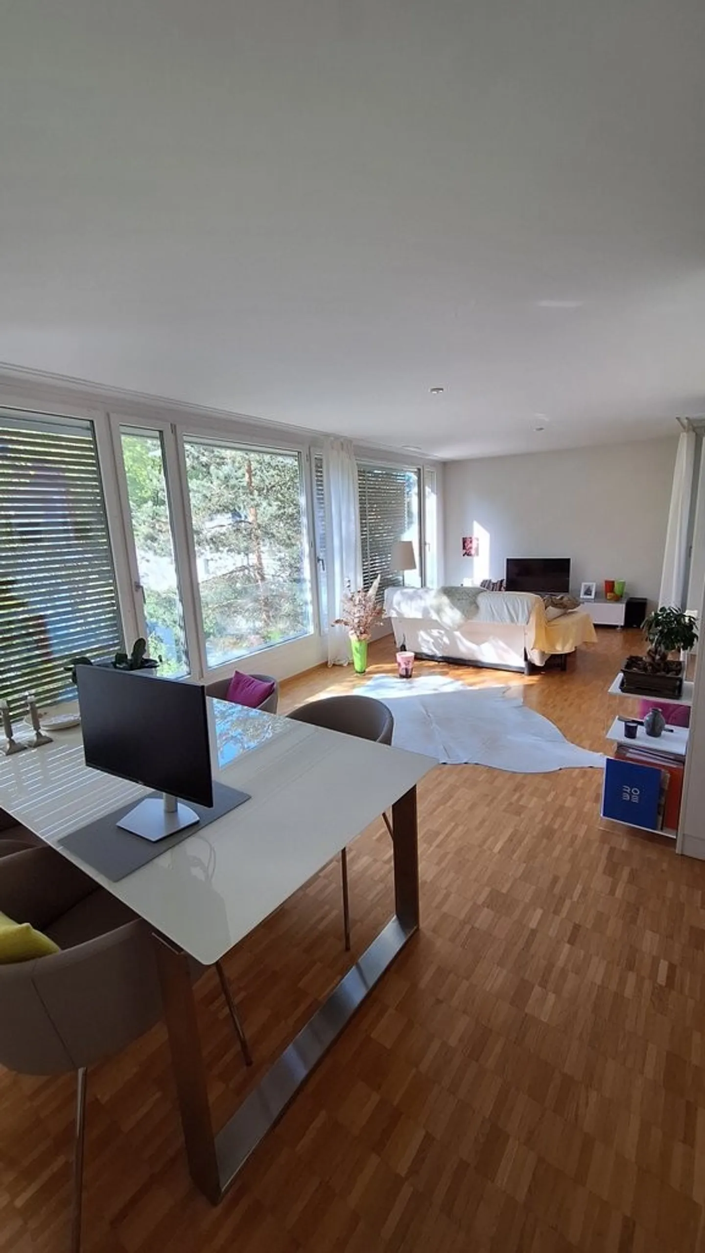 2.5 room apartment for rent in the city oasis recreation area - Photo 4 of 6