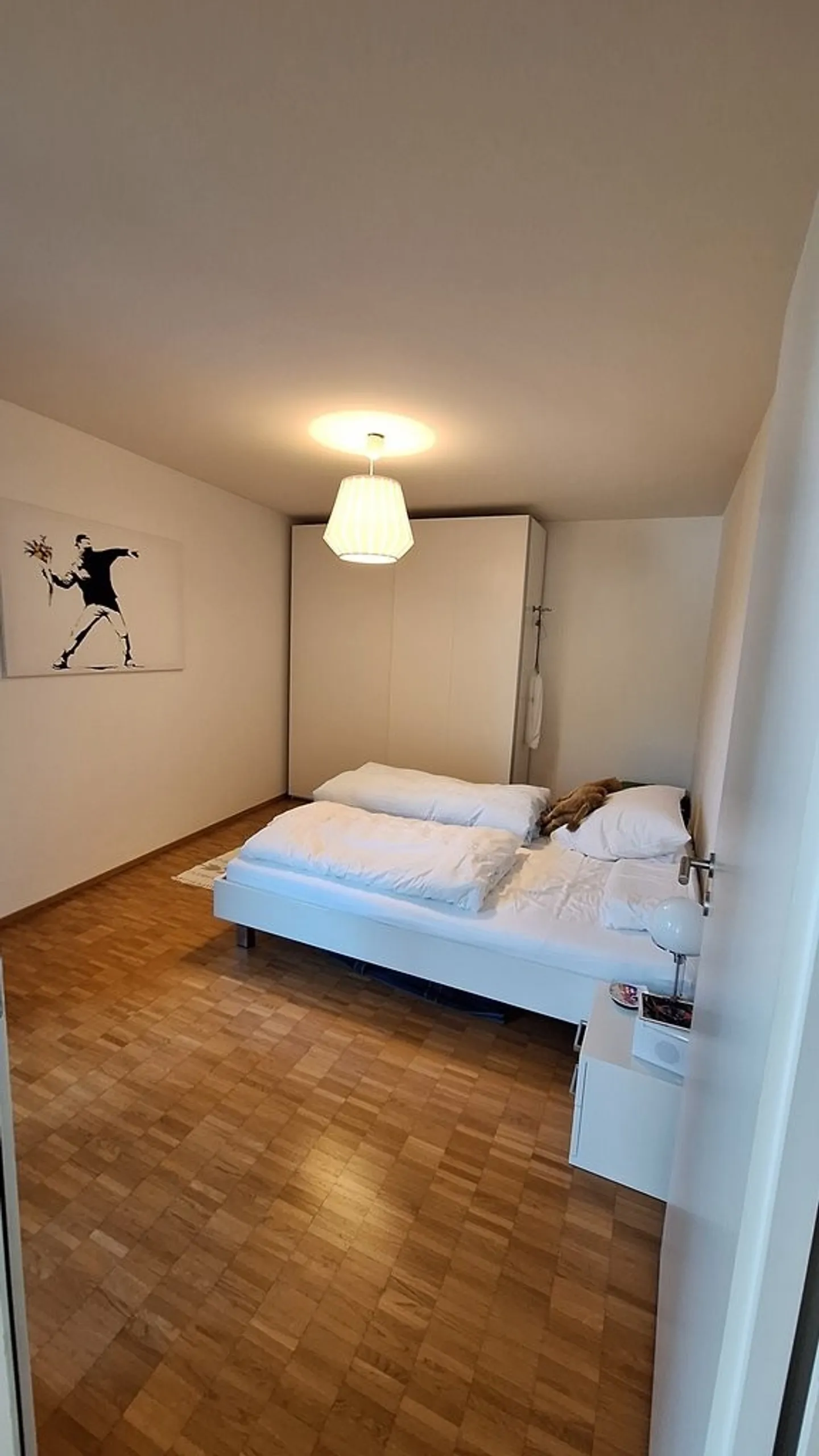 2.5 room apartment for rent in the city oasis recreation area - Photo 5 of 6