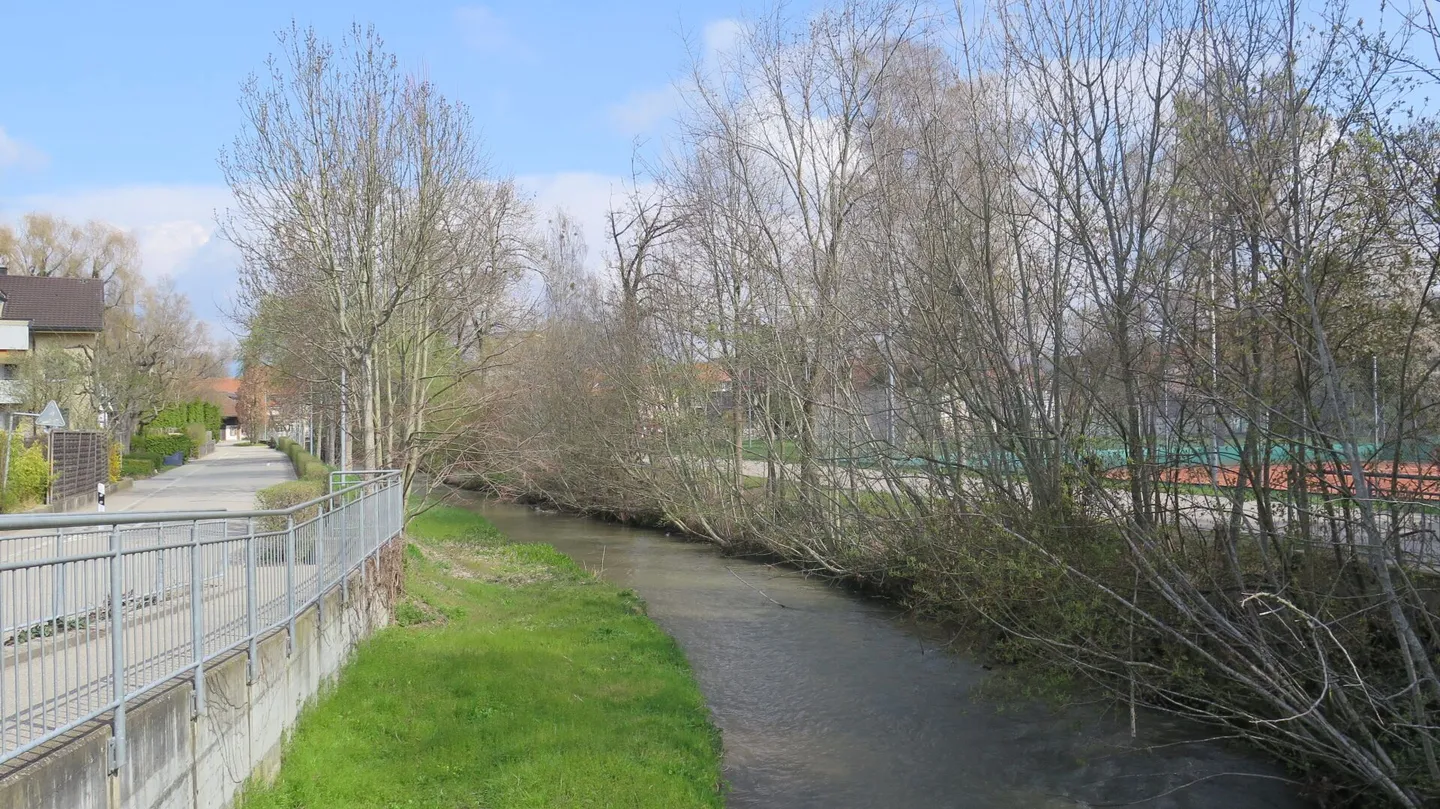 Renovated 4-room apartment in Lyss - Photo 10 of 12