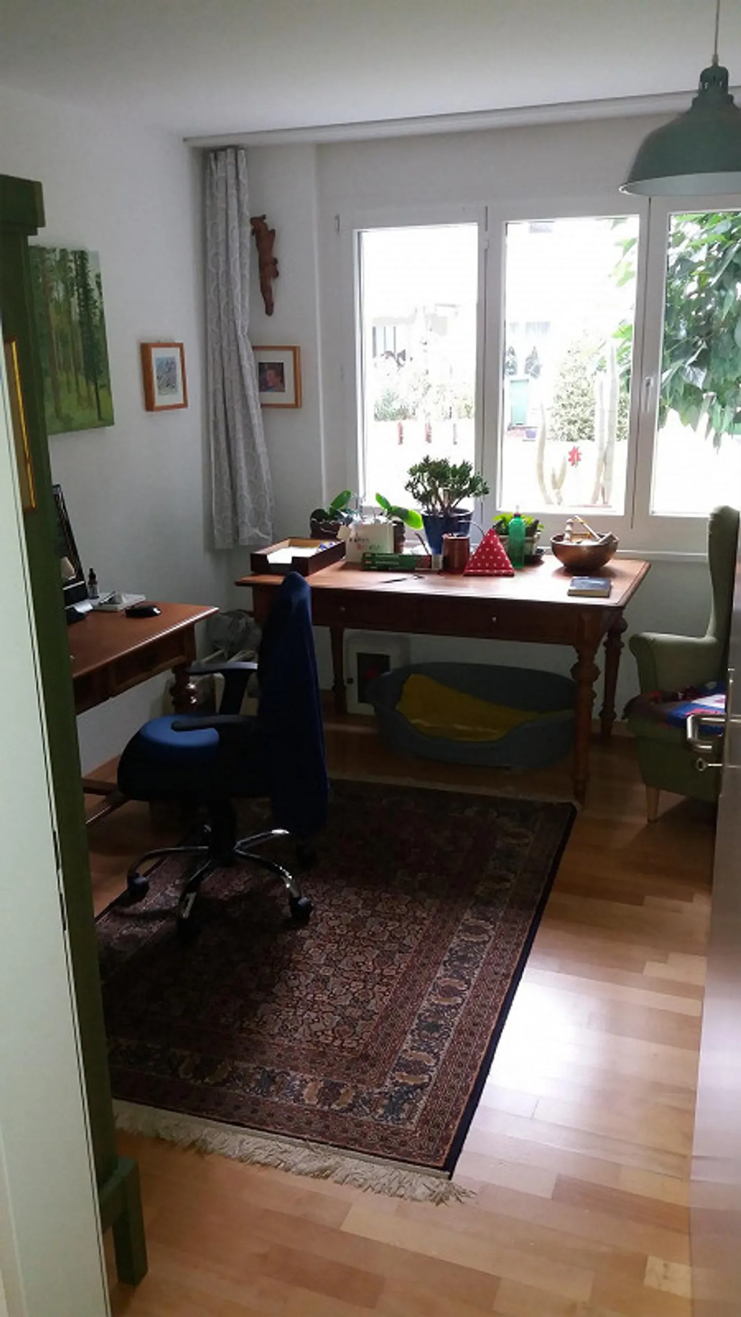 Opportunità a Egg - Foto 4 di 15