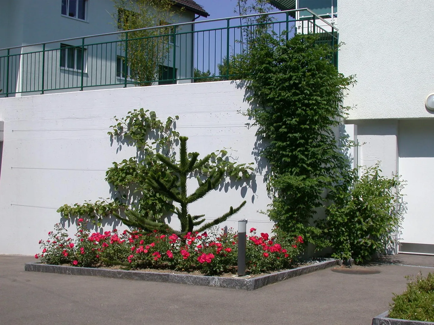 Opportunità a Egg - Foto 14 di 15