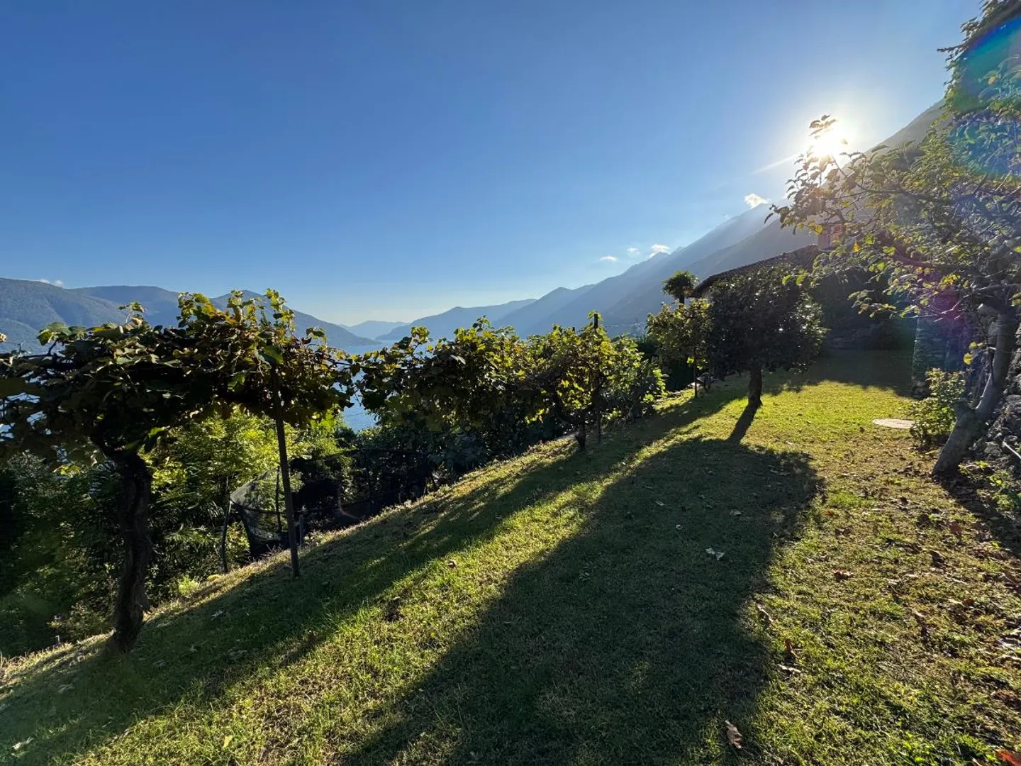 Rustico à Ronco sopra Ascona - Photo 2 sur 5