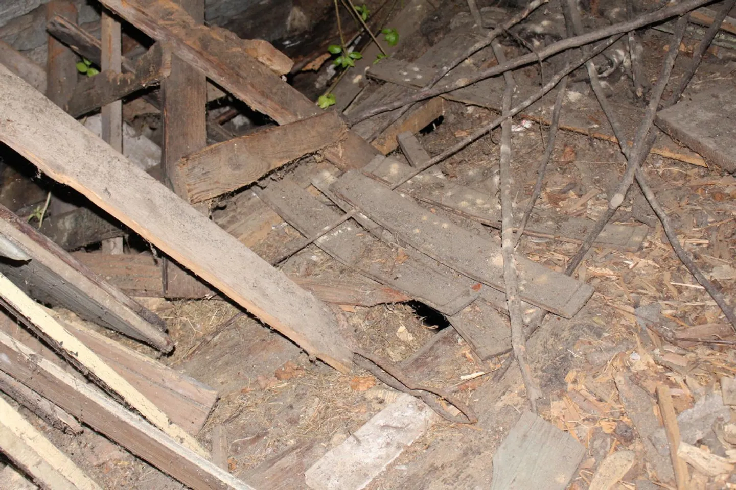 Charming Rustic Home in Cauco - Photo 8 of 12