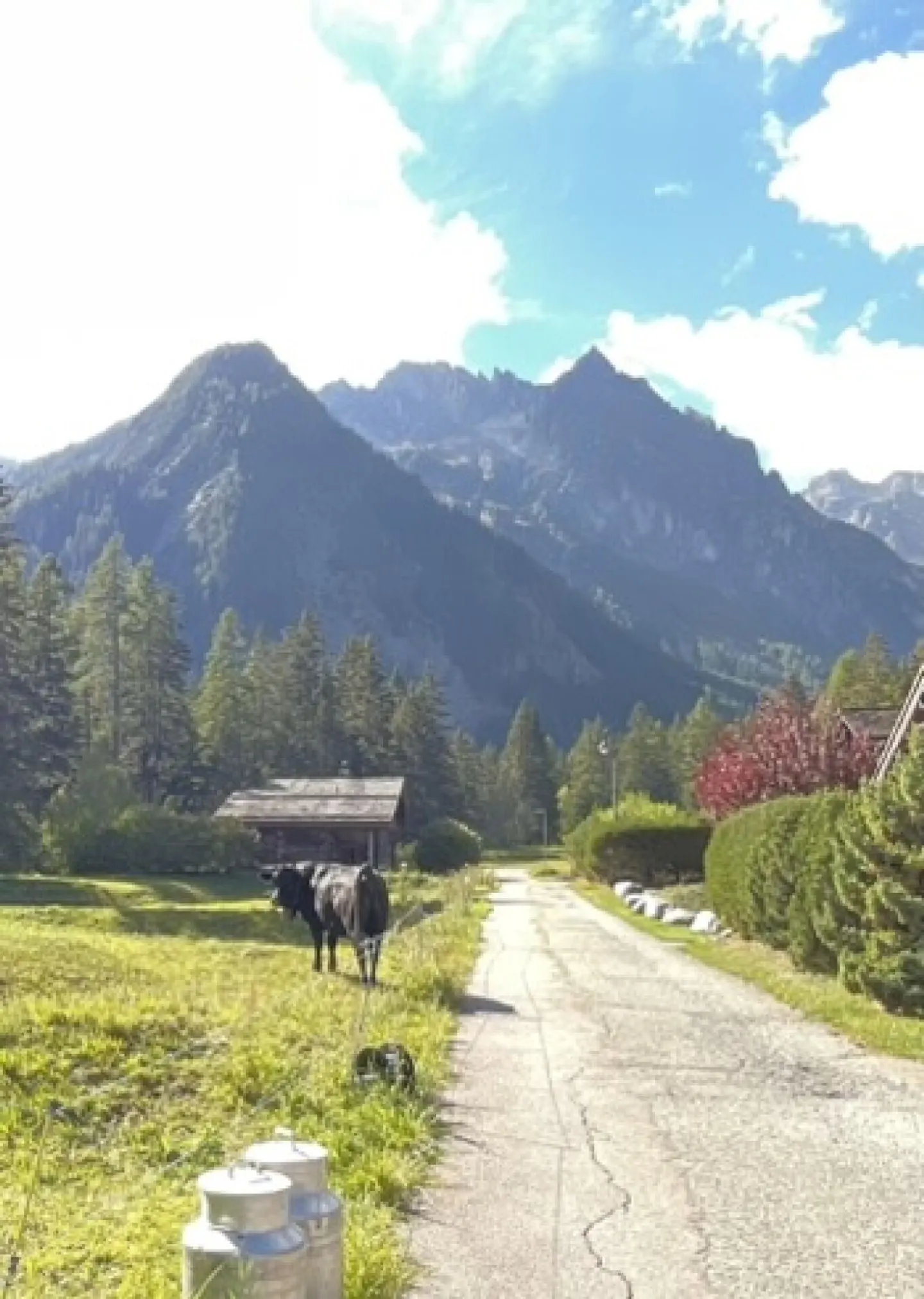 Baugrundstück in der Gemeinde Orsières - Foto 5 von 6