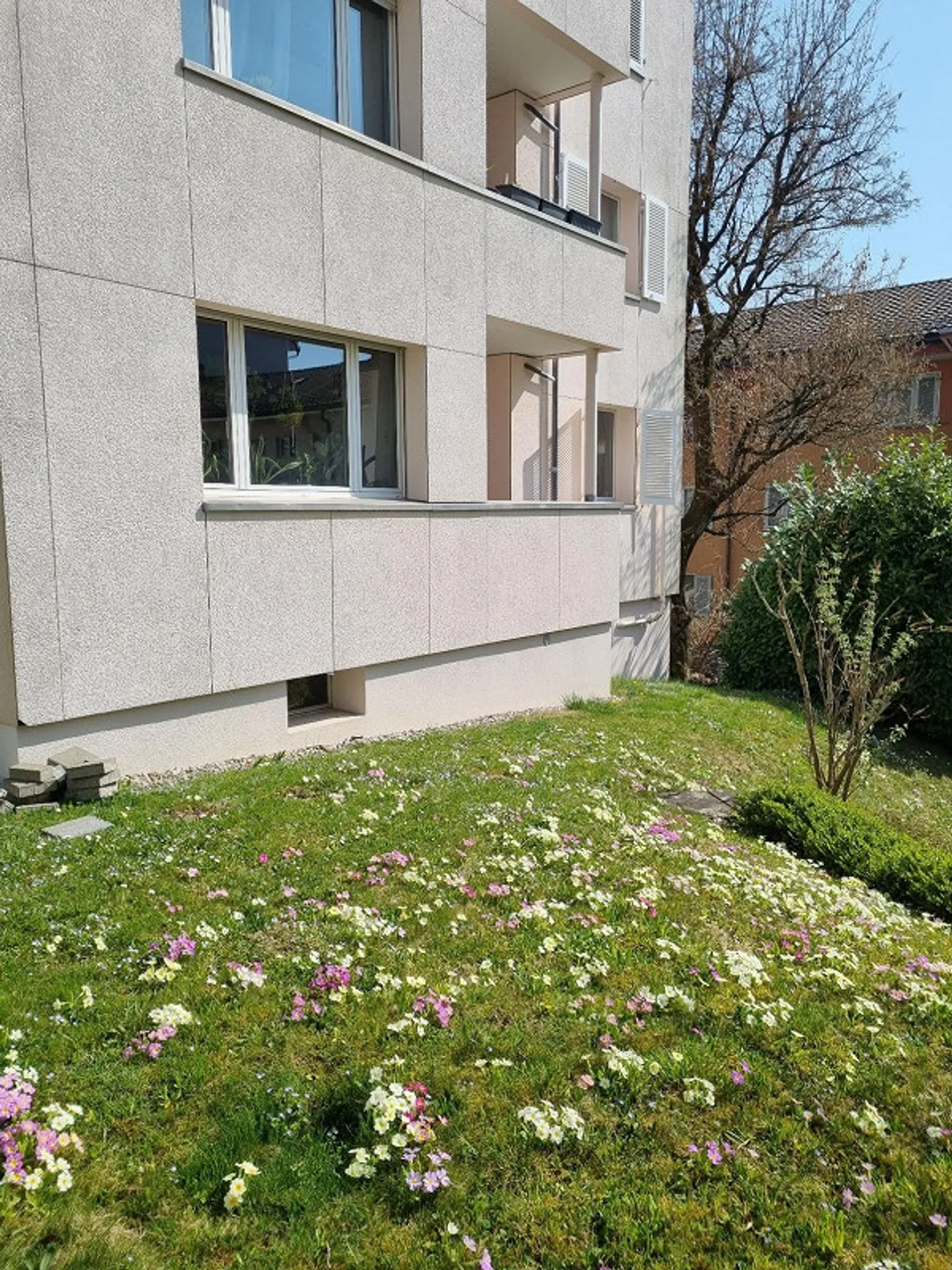 Appartement ensoleillé et calme - Photo 8 sur 8
