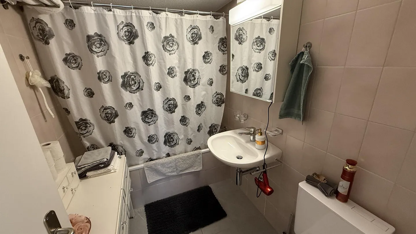 Geräumige Wohnung in Luzern - Foto 7 von 16