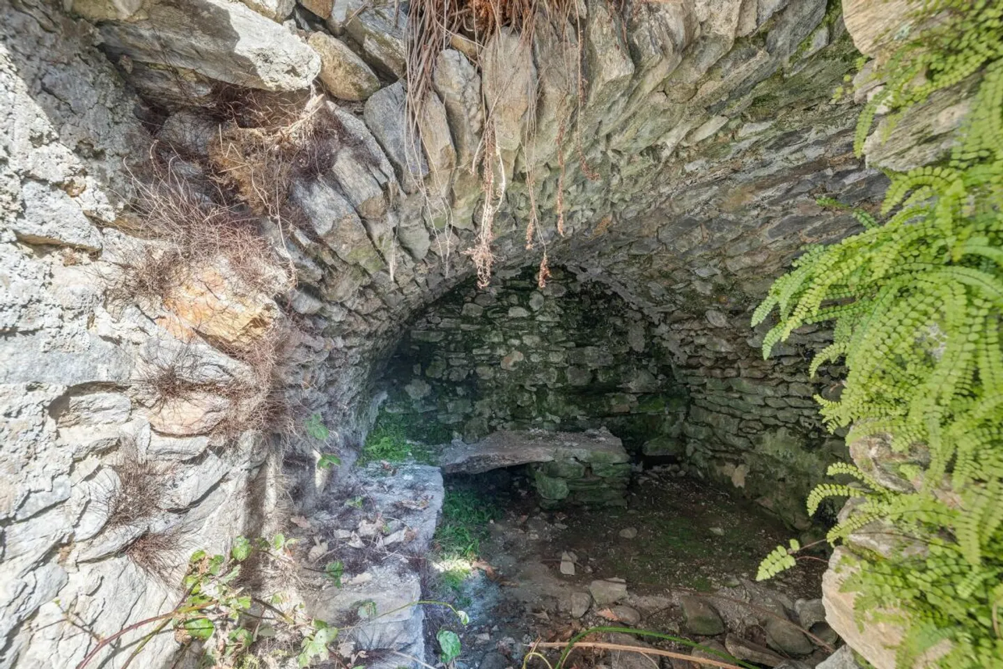 Historical Ensemble with Approved Project in Calonico - Photo 14 of 24