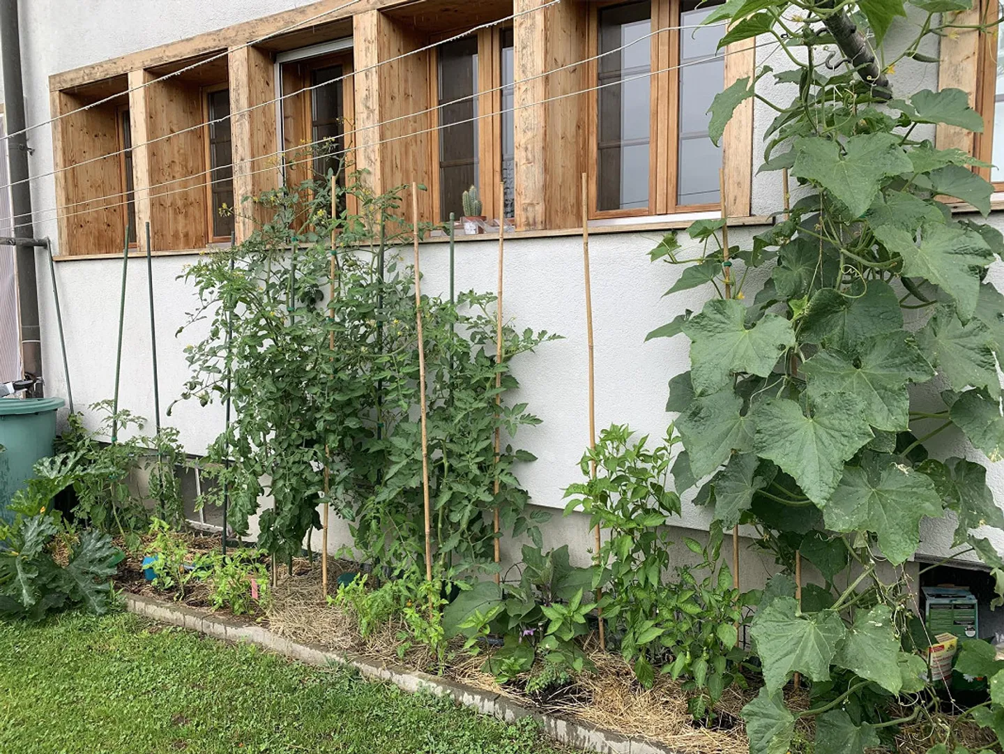 Charmante 5-Zimmer-Wohnung - Foto 6 von 7