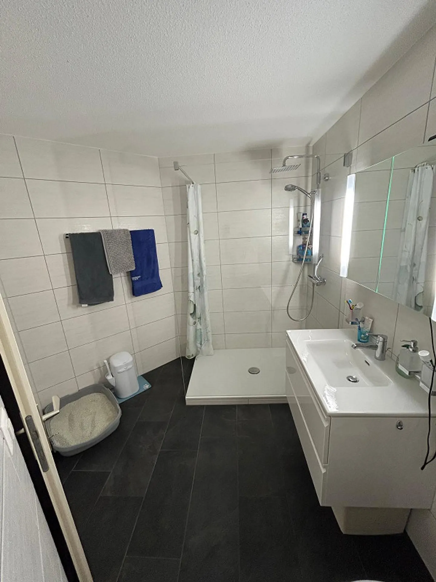 Appartamento 3.5 locali a Sargans - Foto 5 di 11