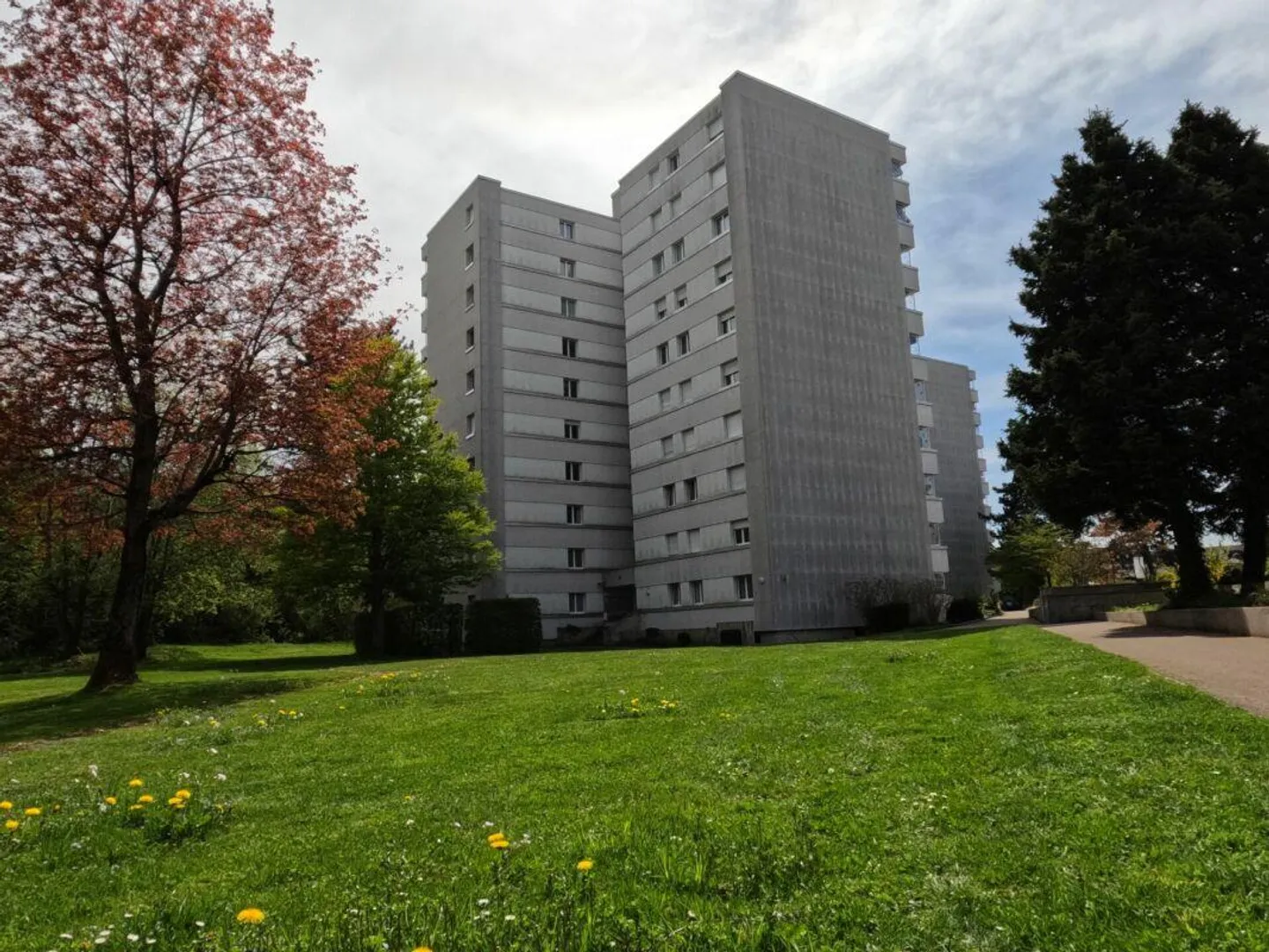 Large Single Apartment with Balcony - Bright and Practical with Balcony - Photo 1 of 9