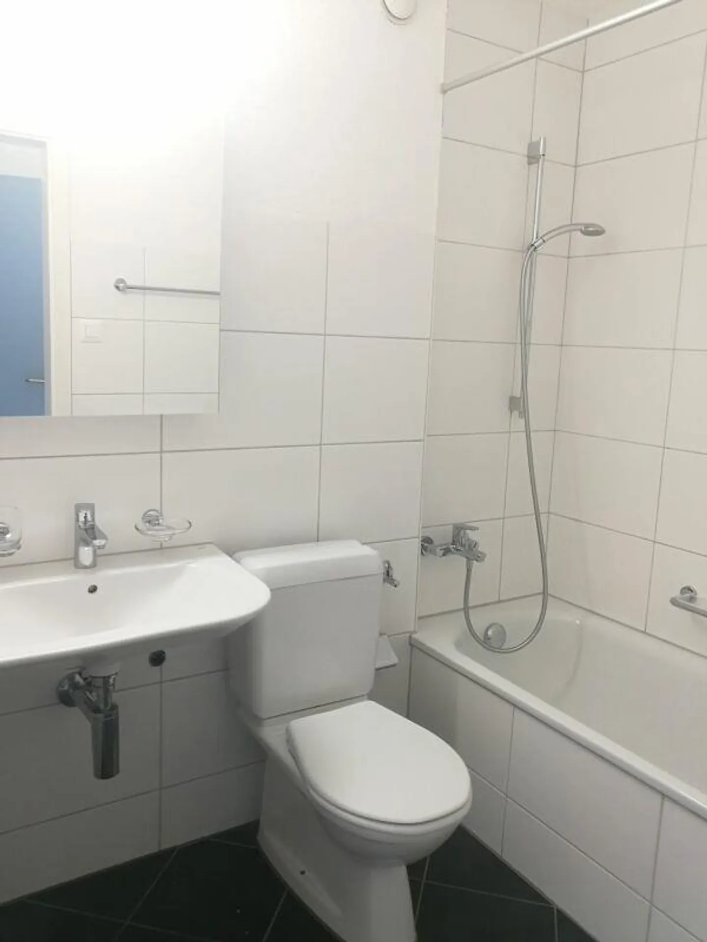 Large Single Apartment with Balcony - Bright and Practical with Balcony - Photo 8 of 9