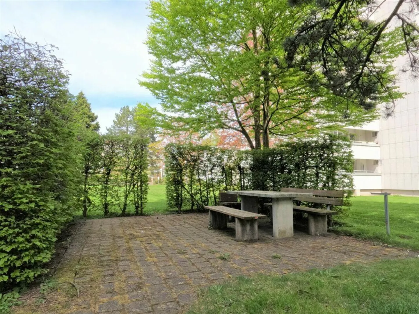 Large Single Apartment with Balcony - Bright and Practical with Balcony - Photo 9 of 9