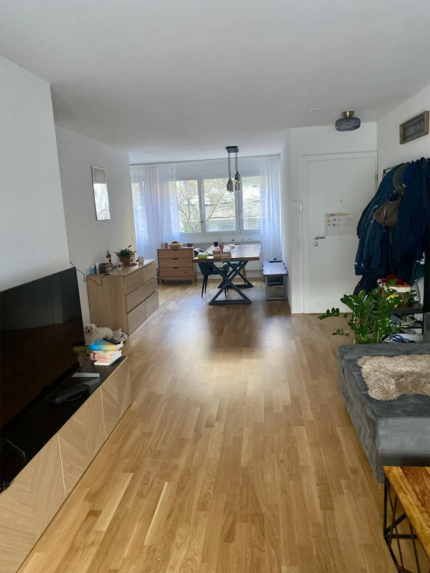 Living in the popular Gotthelf district - Photo 2 of 9