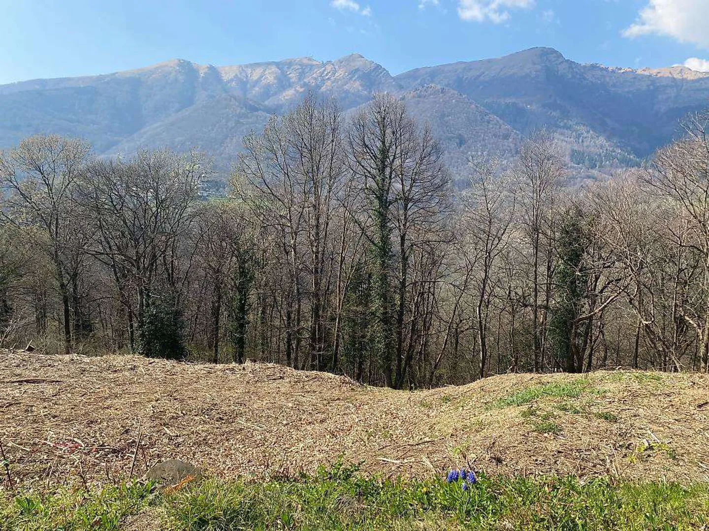 Verkauf von Land in Aranno - Bebaubar, 1700mq groß - Foto 1 von 1